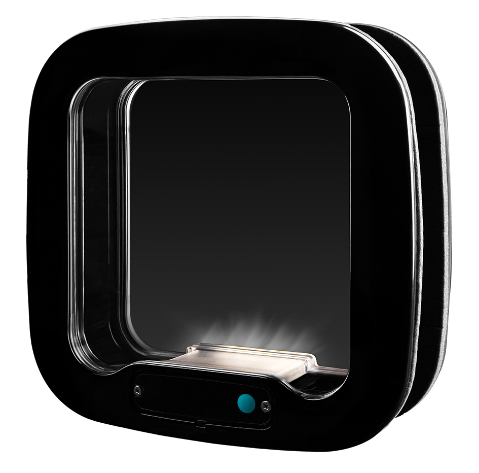 Enginia Square window